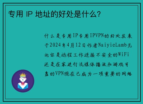 专用 IP 地址的好处是什么？ 