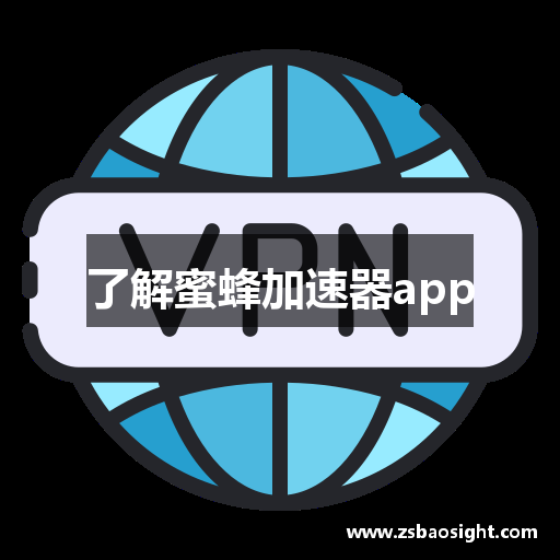 了解蜜蜂加速器app